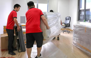 ��˫���ɸ��ٰ���